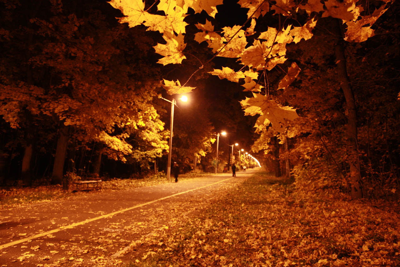 Autumnight
