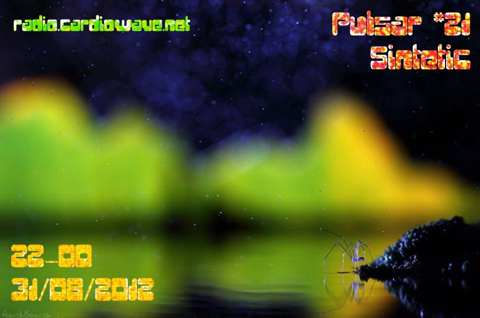 puls 2012-08-31
